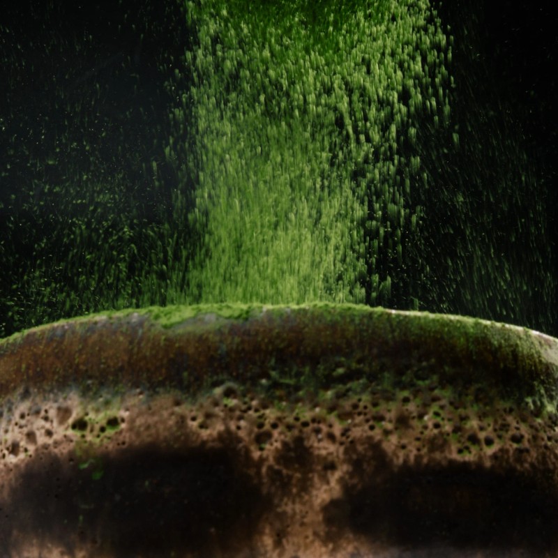 Matcha from Archives of Us