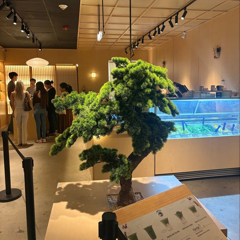 Matcha from Matsu Matcha